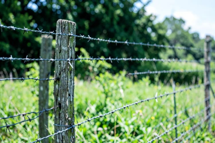Uma cerca de arame farpado delimitando uma propriedade rural com vegetação verde ao fundo.